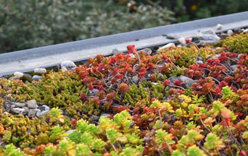 the cost of Tidcombe green roof installation