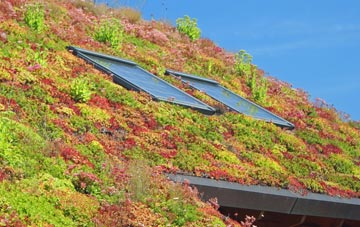 Tidcombe living roof systems