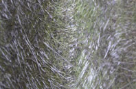 Tidcombe fibreglass roof work